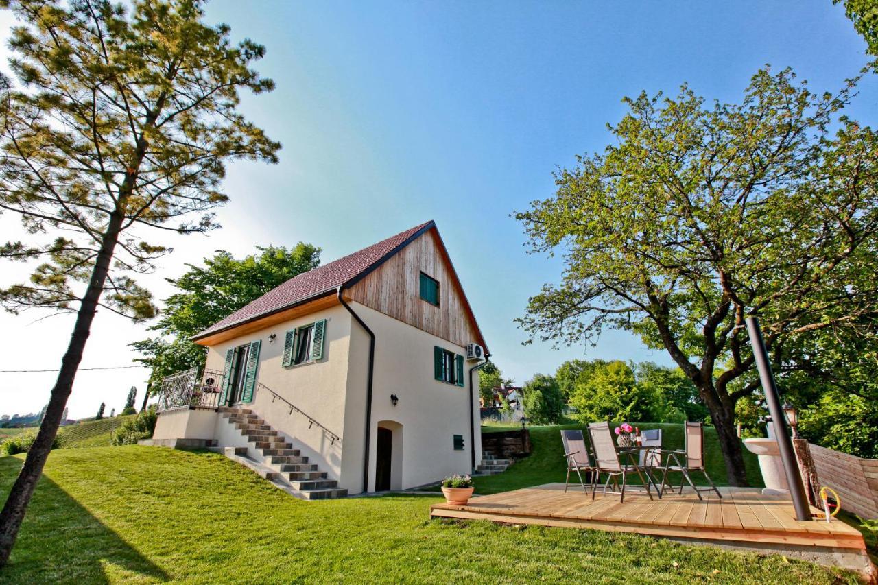 Vila Loni Zgornja Kungota Zewnętrze zdjęcie