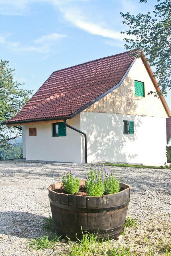 Vila Loni Zgornja Kungota Zewnętrze zdjęcie